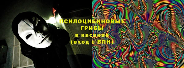 крисы Богородск