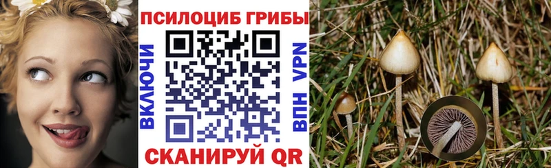 блэк спрут рабочий сайт  закладки  Дмитриев  Псилоцибиновые грибы MAGIC MUSHROOMS 
